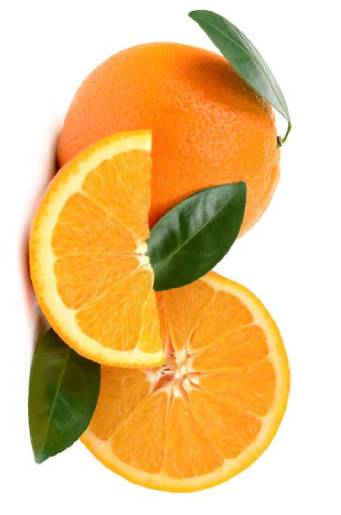 Tradição e Qualidade